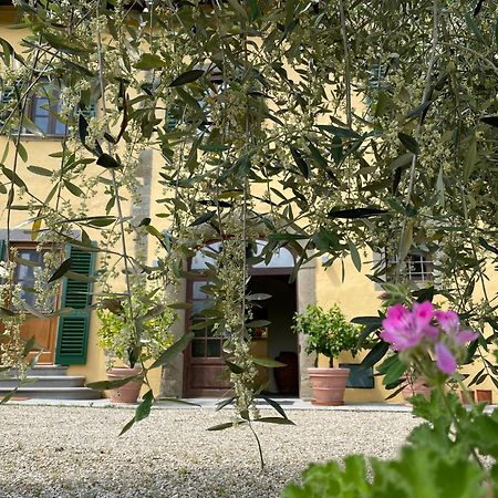 Villa Rigacci Reggello Exterior photo