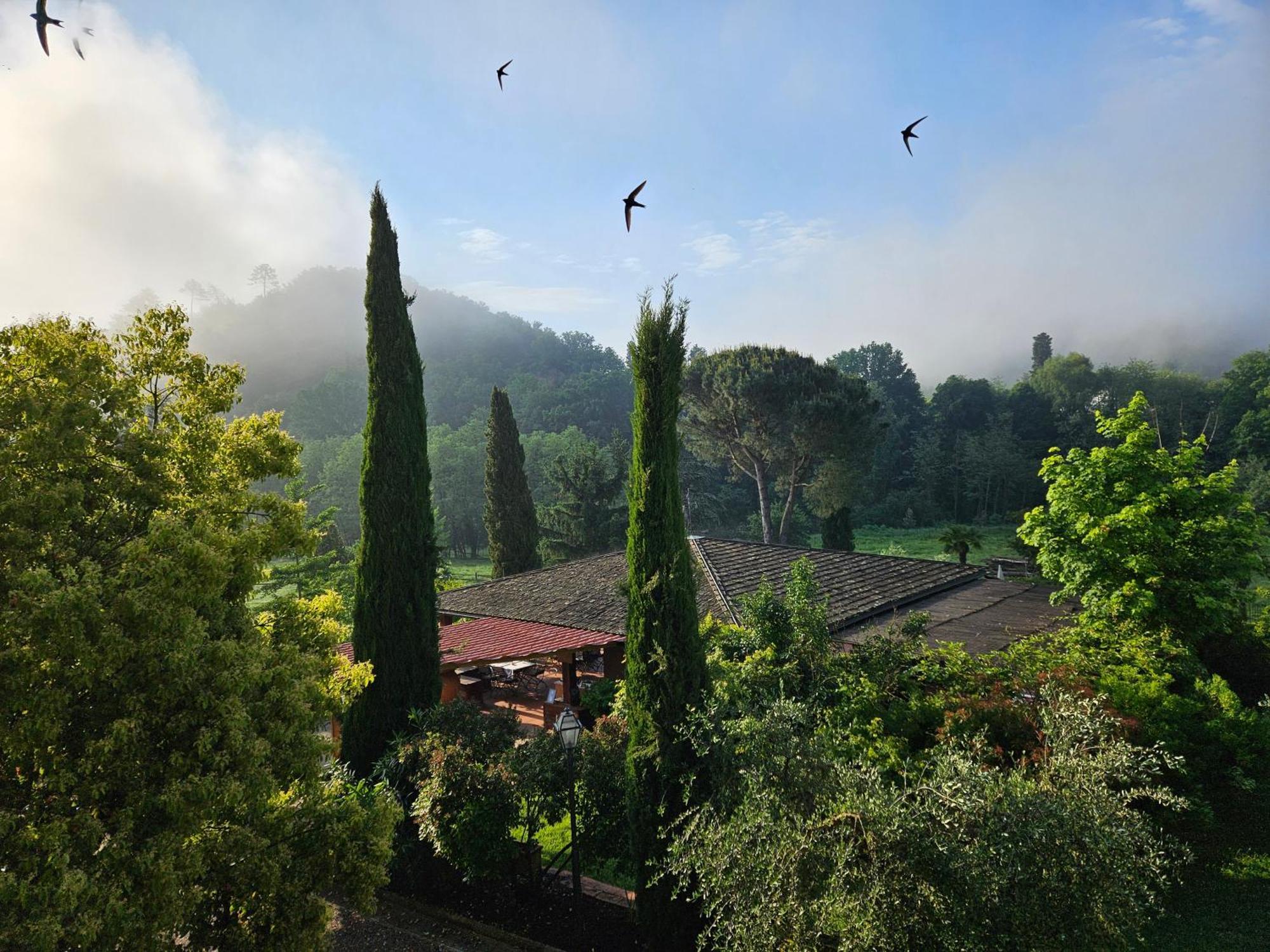 Villa Rigacci Reggello Exterior photo